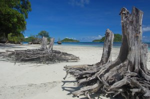 Micronesia in July