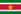 Surinam flag