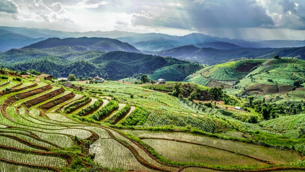 Chiang Mai