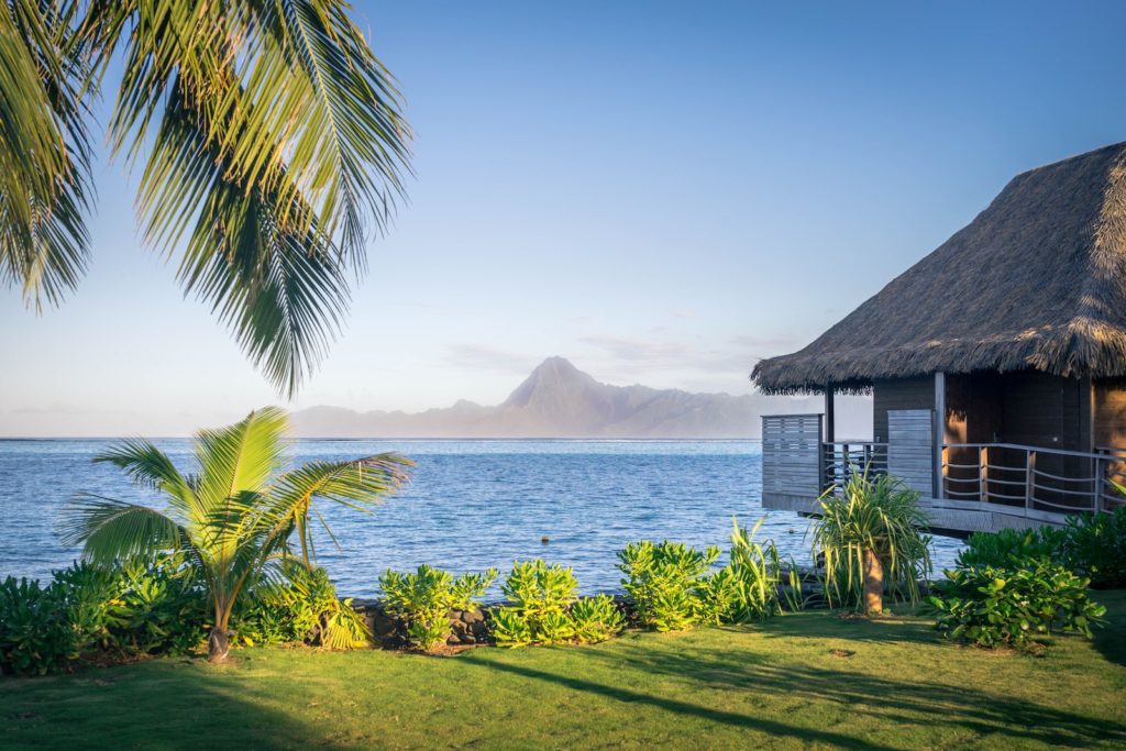 Polynesia
