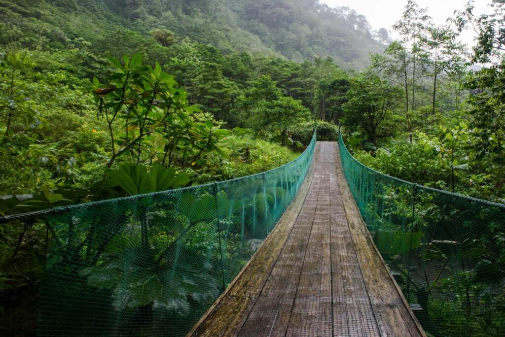 Reasons to Visit Costa Rica