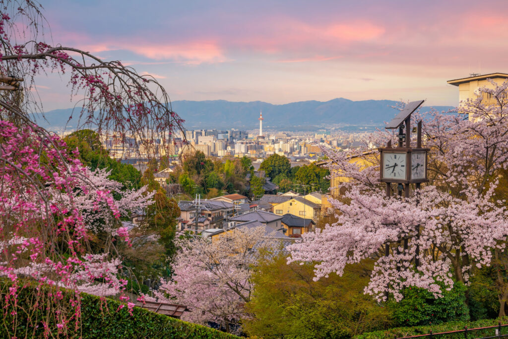 Old town Kyoto during sakura season in Japan at sunset