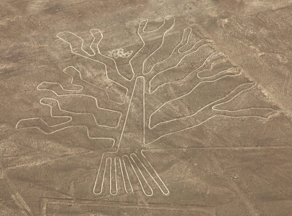 Tree geoglyph, Nazca mysterious lines and geoglyphs aerial view, landmark in Peru