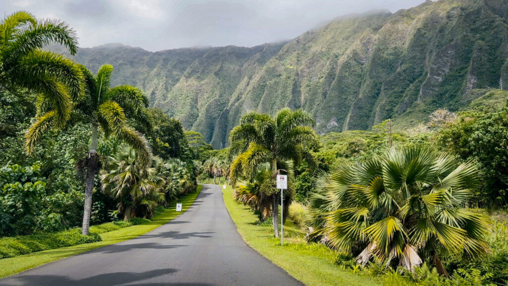 Street view on Luluku Road at Hoomaluhia Botanical Garden on the Hawaiian Island of Oahu, USA against cloudy sky