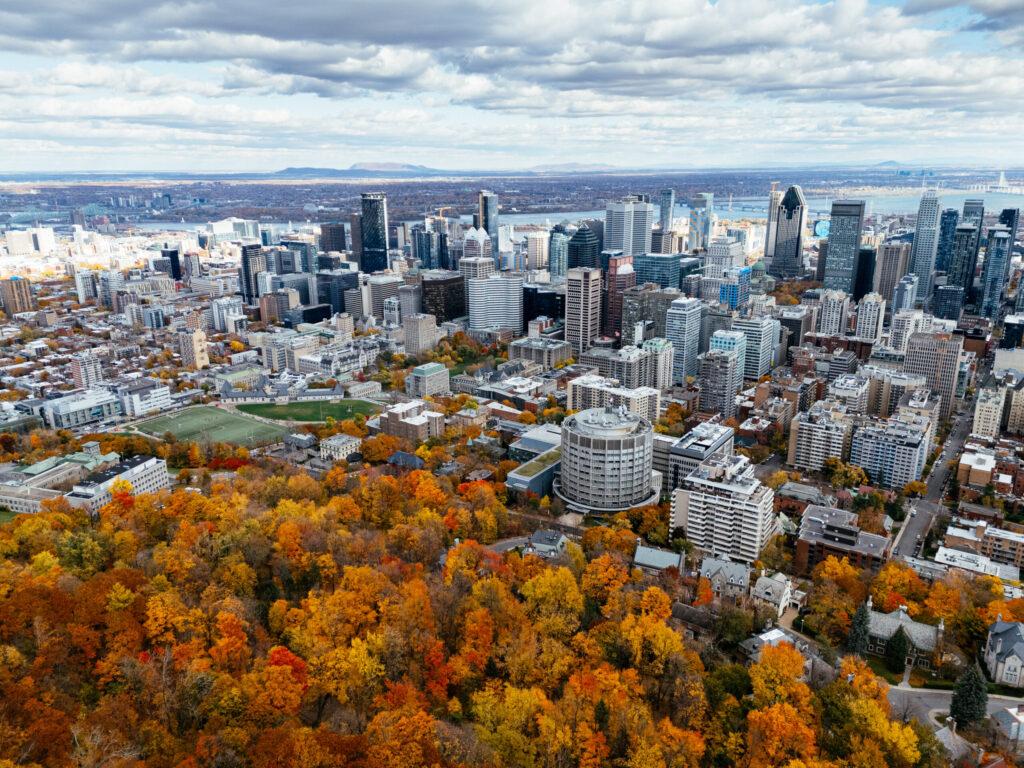 Drone flight above the autumn park with downtown skyscrapers in the background. Mont-Royal park, Montreal, Canada.
