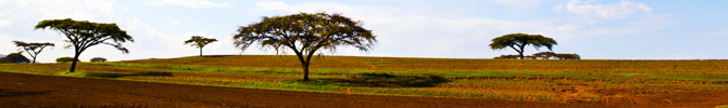 Ethiopia