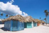 Where to go in january
