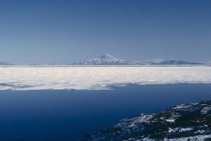 Antarctic in December