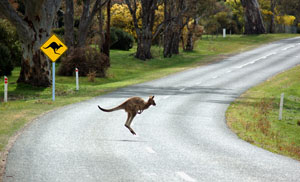 Australia in July