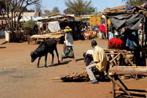 Botswana in October