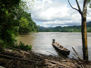 Manaus