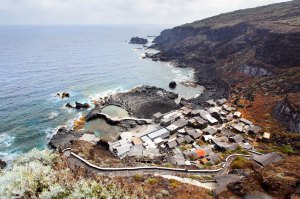 Canaries in June