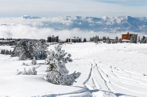 France in January