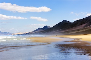 Canaries in January