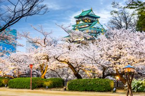 Japan in February