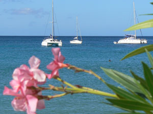 Martinique in June
