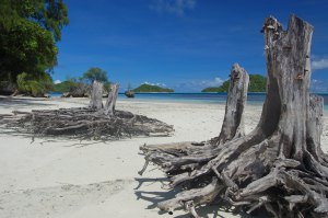 Micronesia in August