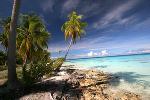 French Polynesia in January