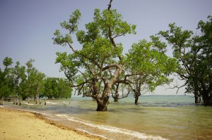 Koh Lanta